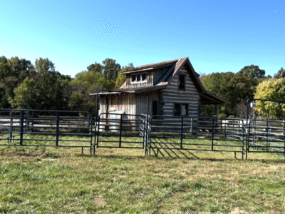 Blue Sky Farm Equestrian Bed & Breakfast